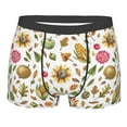 thumbnail image 1 of Rateoe Fall Fruits And Vegetables Mens Boxer Briefs Poly Spandex Performance Boxer Briefs Underwear Hem Boxer Briefs - Large, 1 of 8