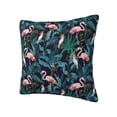 thumbnail image 1 of Rateoe Flamingos And Birds Pattern Throw Pillow Cover Premium Pillow Stuffer Sham Square for Decorative Cushion Bed Couch Sofa(Pillow insert not included), 1 of 8