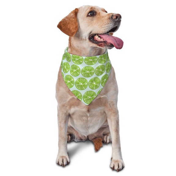 Rateoe Green Lemon Slices Drawing Dog Bandanas Washable Cotton Triangle Cat Scarfs ,Pet Scarf for Small Medium Large Dogs and Cats