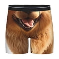 thumbnail image 1 of Rateoe Happy Fluffy Running Dog Print Men’s Underwear Boxer Briefs Soft Comfortable Underwear Boxer Briefs, Long Leg Briefs,Anti-chafing Boxer Briefs, 1 of 7