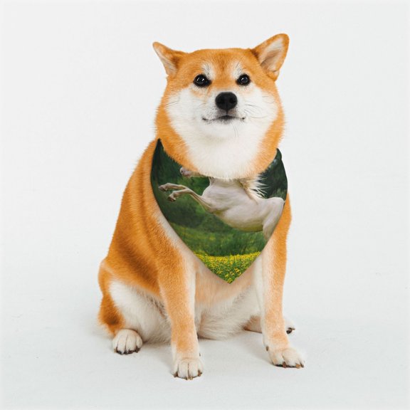 Rateoe Horse Rearing Up In The Field Print Pet Scarf for Dogs and Cats – Stylish Reflective Design, Breathable & Durable Pet Bandana with Quick-Release Buckle-Large