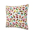 thumbnail image 1 of Rateoe Ice Cream Popsicles Pattern Throw Pillow Cover Premium Pillow Stuffer Sham Square for Decorative Cushion Bed Couch Sofa(Pillow insert not included), 1 of 8