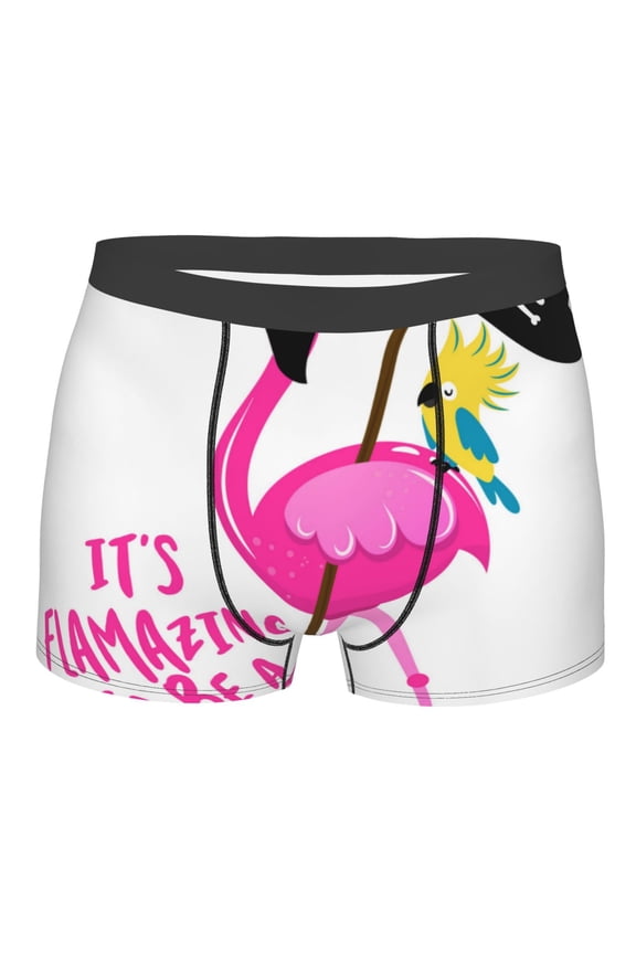 It'S Flamazing To Be A Pirate Mens Boxer Briefs Poly Spandex Performance Boxer Briefs Underwear Hem Boxer Briefs - XX-Large