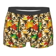 thumbnail image 1 of Rateoe Kittens With Maple Leaves Mens Boxer Briefs Poly Spandex Performance Boxer Briefs Underwear Hem Boxer Briefs - Medium, 1 of 8