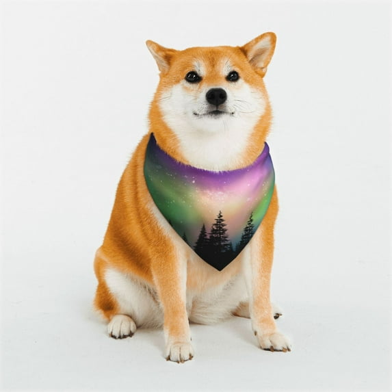 Rateoe Northern Lights Print Pet Scarf for Dogs and Cats – Stylish Reflective Design, Breathable & Durable Pet Bandana with Quick-Release Buckle-Medium