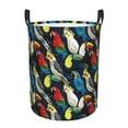 thumbnail image 1 of Rateoe Parrot Pattern Round Laundry Hamper Basket, Tall Hamper Basket for Blanket Storage, Nursery Clothes Hamper for Laundry in Bedroom and College Dorm-Small, 1 of 6