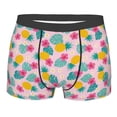 thumbnail image 1 of Rateoe Pineapple And Leaves Mens Boxer Briefs Poly Spandex Performance Boxer Briefs Underwear Hem Boxer Briefs - Medium, 1 of 8