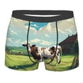thumbnail image 1 of Rateoe Prairie Pasture Cow Mens Boxer Briefs Poly Spandex Performance Boxer Briefs Underwear Hem Boxer Briefs - XX-Large, 1 of 8