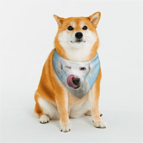 Rateoe Puppy Licks Nose Print Pet Scarf for Dogs and Cats – Stylish Reflective Design, Breathable & Durable Pet Bandana with Quick-Release Buckle-Small