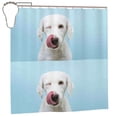 thumbnail image 1 of Rateoe Puppy Licks Nose Shower Curtain - Fancy Bathroom Shower Curtain Sets - Waterproof Shower Curtain with Hooks with 12 Plastic Hooks 72x72 Inches, 1 of 5