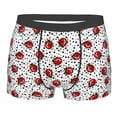 thumbnail image 1 of Rateoe Red Ladybugs On Black Dotted Mens Boxer Briefs Poly Spandex Performance Boxer Briefs Underwear Hem Boxer Briefs - Medium, 1 of 1