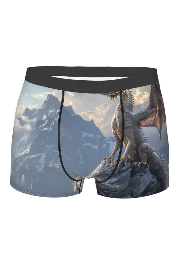 Silver Dragon Mountain Peaks Mens Boxer Briefs Poly Spandex Performance Boxer Briefs Underwear Hem Boxer Briefs - Large
