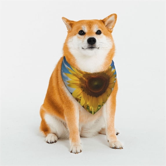 Rateoe Sky Golden Sunflower Field Print Pet Scarf for Dogs and Cats – Stylish Reflective Design, Breathable & Durable Pet Bandana with Quick-Release Buckle-Large