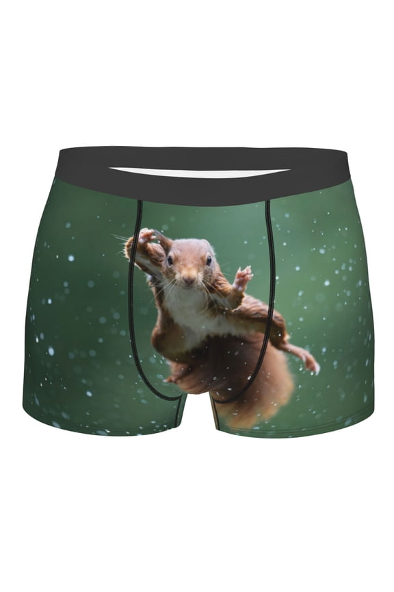 Squirrel Mens Boxer Briefs Poly Spandex Performance Boxer Briefs Underwear Hem Boxer Briefs - Medium