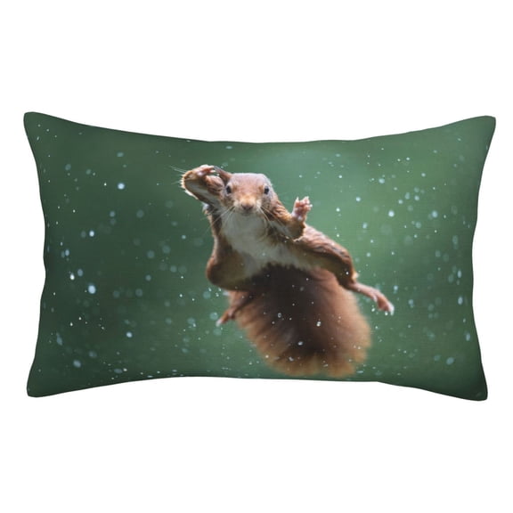 Rateoe Squirrel Pattern Decorative Pillow Case,Throw Pillow Covers,Plush Pillow Cover,Soft Pillow Case,Velvet Pillow Case-14"x20"
