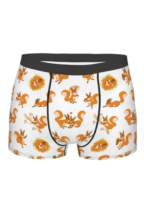 Squirrel Playing Mens Boxer Briefs Poly Spandex Performance Boxer Briefs Underwear Hem Boxer Briefs - Large