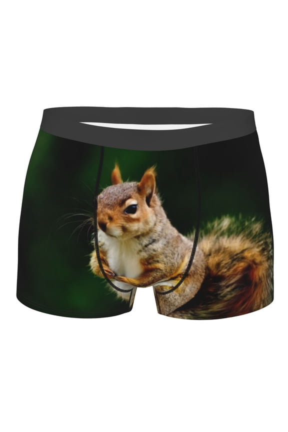 Squirrels Eating Peanuts On The Tree Mens Boxer Briefs Poly Spandex Performance Boxer Briefs Underwear Hem Boxer Briefs - Medium