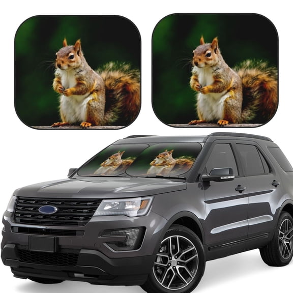 Rateoe Squirrels Eating Peanuts On The Tree Pattern 2 Piece Car Windshield Sun Shade Foldable | Front Windshield Shade for Sun, Heat and UV Rays | Sunshade for Car Front Window-Large