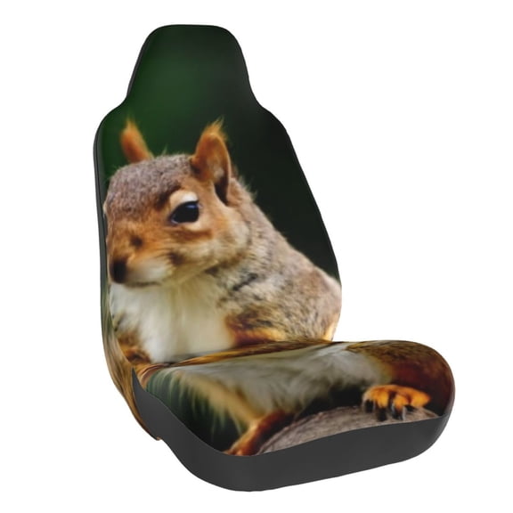 Rateoe Squirrels Eating Peanuts On The Tree Print Car Seat Cover,Elastic Car Seat Protector,Washable Durable Automotive Seat Cover Car Interior Accessories