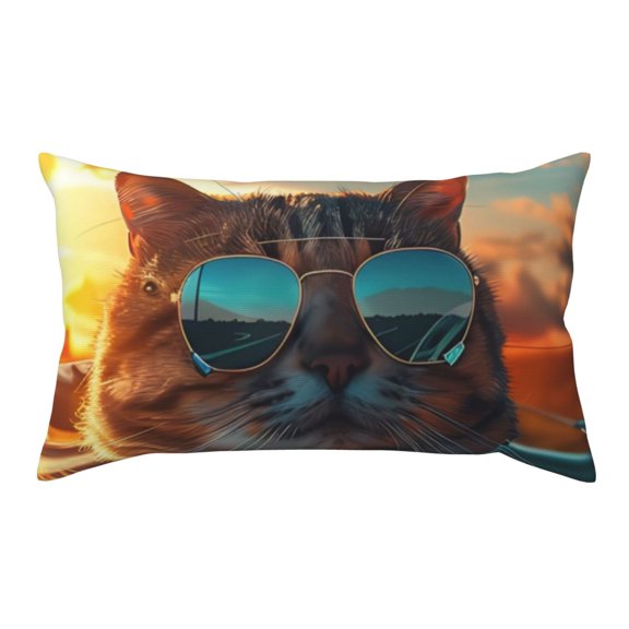 Rateoe Standard Pillowcases 20x36 Inches Cool Cat Driving Sunset Pattern Printed Pillow Covers with Envelope Closure(Pillows are not Included)