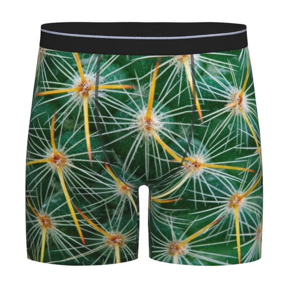 Rateoe Thorns Of Macro Cactus Print Men’s Underwear Boxer Briefs Soft Comfortable Underwear Boxer Briefs, Long Leg Briefs,Anti-chafing Boxer Briefs