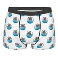 thumbnail image 1 of Rateoe Turtle Mens Boxer Briefs Poly Spandex Performance Boxer Briefs Underwear Hem Boxer Briefs - Small, 1 of 8