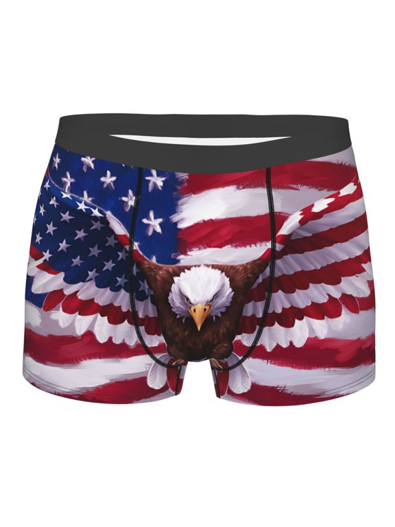 USA Eagle with Spread Wings Mens Boxer Briefs Poly Spandex Performance Boxer Briefs Underwear Hem Boxer Briefs - Large