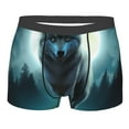 thumbnail image 1 of Rateoe Wolf Mens Boxer Briefs Poly Spandex Performance Boxer Briefs Underwear Hem Boxer Briefs - XX-Large, 1 of 8