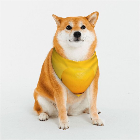 Rateoe Yellow Lemon Print Pet Scarf for Dogs and Cats – Stylish Reflective Design, Breathable & Durable Pet Bandana with Quick-Release Buckle-Small
