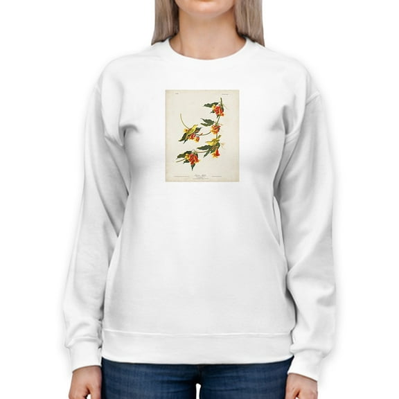 Rathbone Warbler Sweatshirt Women -John James Audubon Designs, Female Small