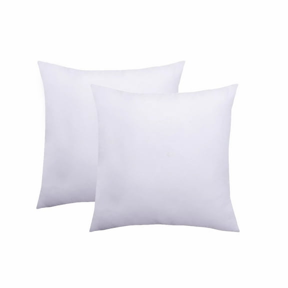 Rather Bather Milford Square Polyester Decorative Throw Pillow Insert Set of 2 (20"x20")