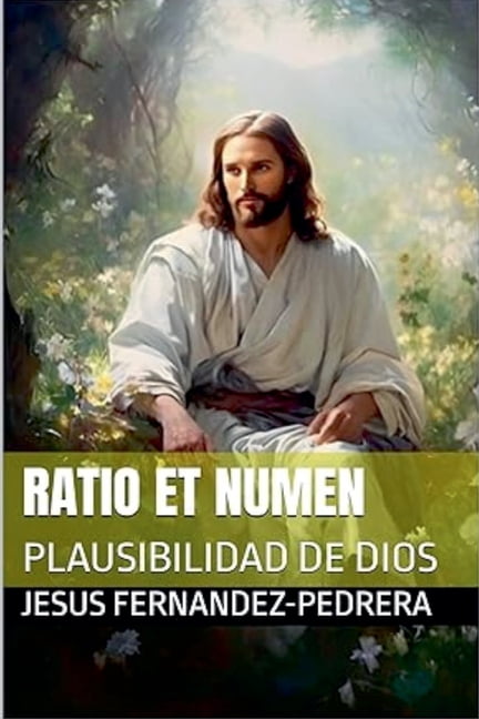 Ratio et Numen. Plausibilidad de Dios, (Paperback)