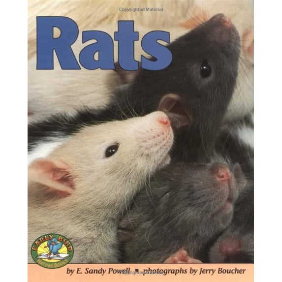 Pre-Owned Rats Early Bird Nature Books Library Binding E. Sandy Powell