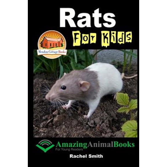 Rats for Kids