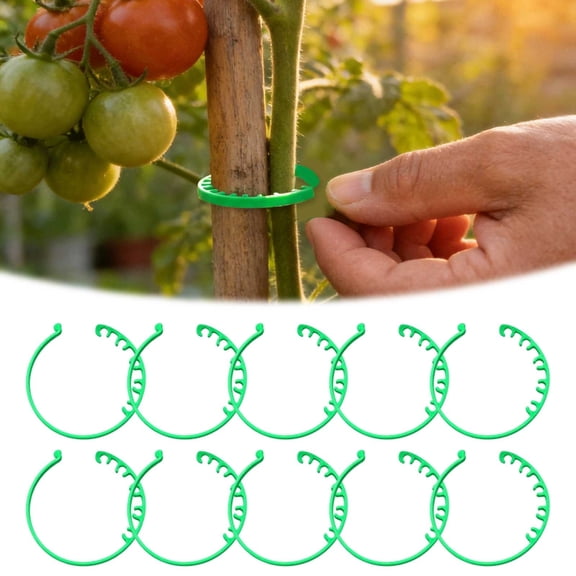 Rattan 2 Pack Adjustable Garden Stake Connectors for Vines and Climbing Support Outdoor Greenhouse and Potting Use 10PCS, 2.5 cm, Green