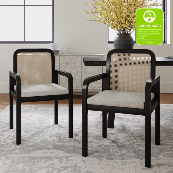 Tina's Home Rattan Black Dining Chairs Set of 2 Armchairs Wood Legs Removable Cushion Home Kitchen Restaurant