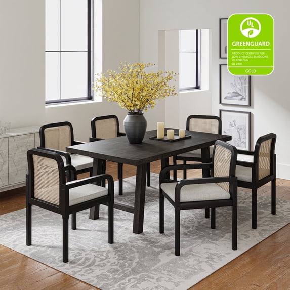 Tina's Home Rattan Black Dining Chairs Set of 6 Armchairs Wood Legs Removable Cushion Home Kitchen Restaurant