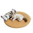 thumbnail image 1 of Rattan Cat Cooling Mat with Cat Ear Pillow, Non-Slip Scratch-Resistant Summer Pet Pad, 3 Sizes, 1 of 8