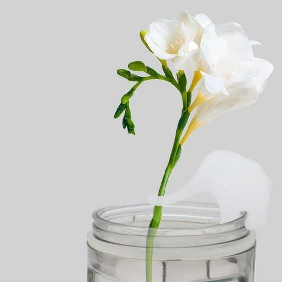 Rattan Clip Growth Tools - Propagation Breeding Friend for Buds and Cuttings - Support Holder for Indoor Gardening and Propagation Station