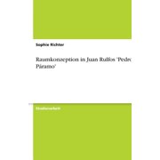 Raumkonzeption in Juan Rulfos Pedro P ramo Paperback
