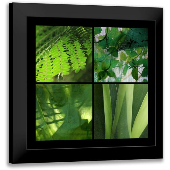 Rauscher, Michel 12x12 Black Modern Framed Museum Art Print Titled - Fresh Green