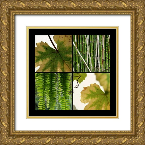 Rauscher, Michel 12x12 Gold Ornate Wood Framed with Double Matting Museum Art Print Titled - Nature Shapes