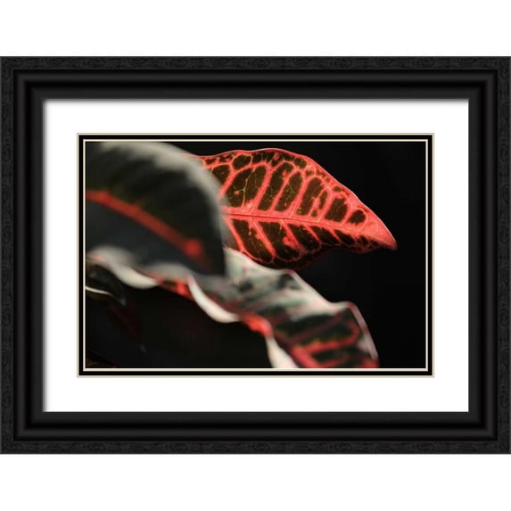 Rauscher, Michel 24x17 Black Ornate Wood Framed with Double Matting Museum Art Print Titled - Global Vessel 4
