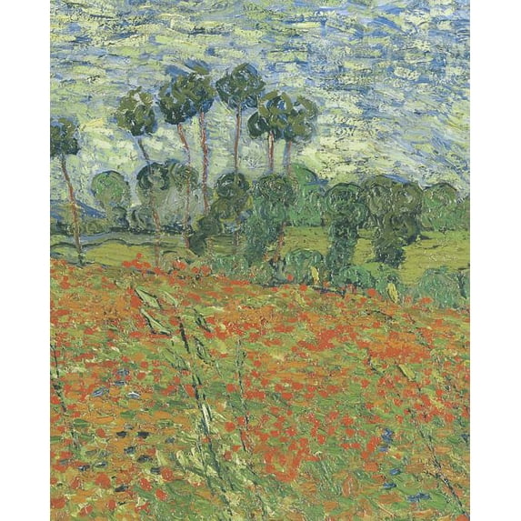 Raven Biology of Plants, (Paperback)