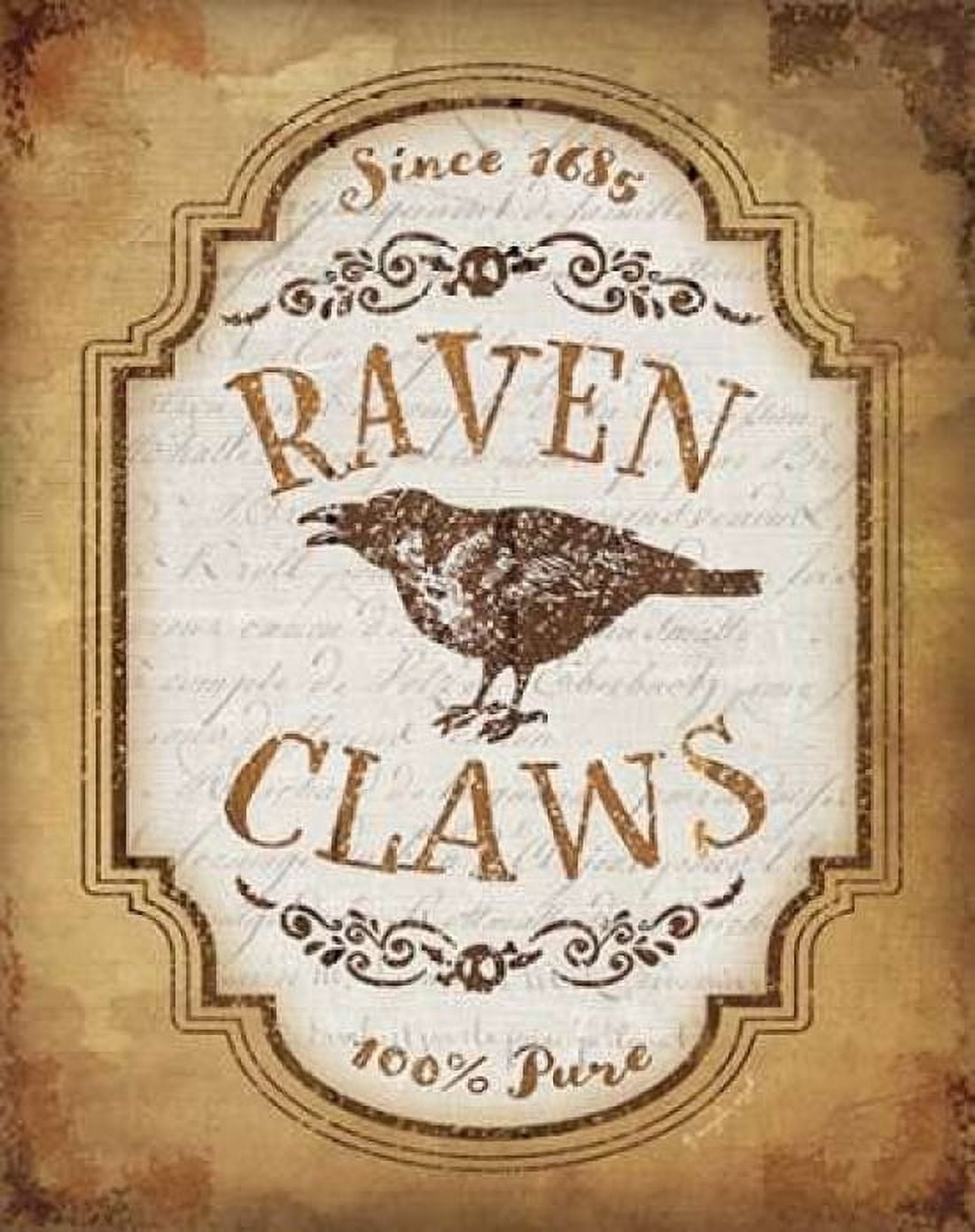 Raven Claws Canvas Art - Jennifer Pugh (22 x 28)