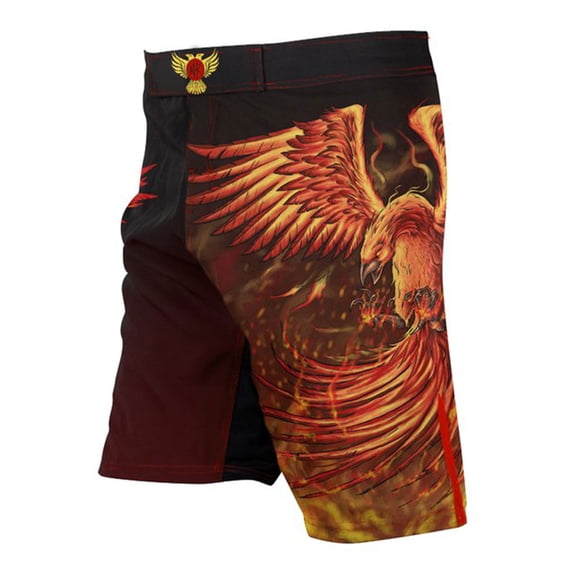 Raven Fightwear Men's The Phoenix Shorts MMA Black