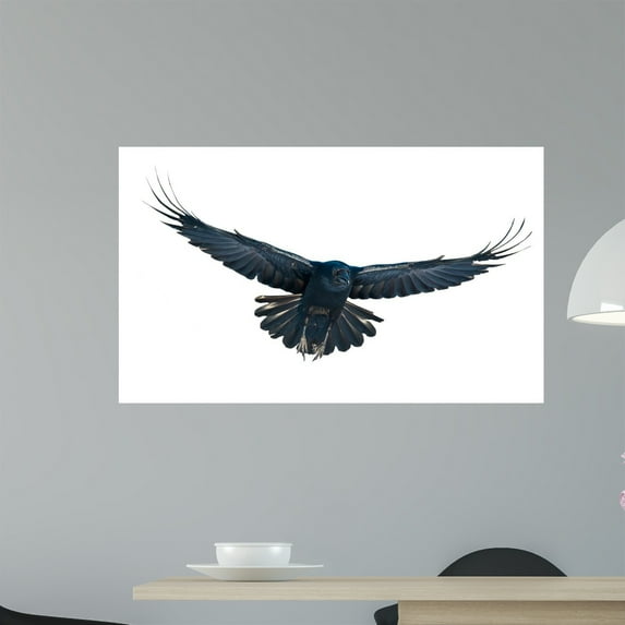 Raven Flight White Wall Mural by Wallmonkeys Peel and Stick Graphic (36 in W x 22 in H) WM7640