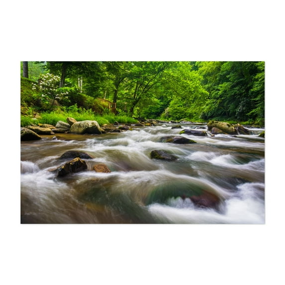 Raven Fork Cascades 03 - North Carolina Photography Nature Landscape Forest Scenic Water Unframed Wall Art Print 40 x 60 inches