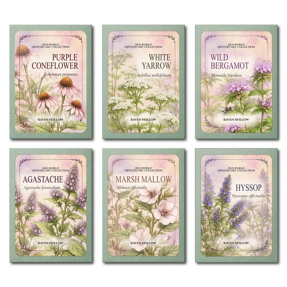 Raven Hollow Old-World Apothecary Garden Seeds, 6 Medicinal Herb & Perennial Flower Seed Packets for Cottage, Pollinator, Herbalist & Herb Gardens
