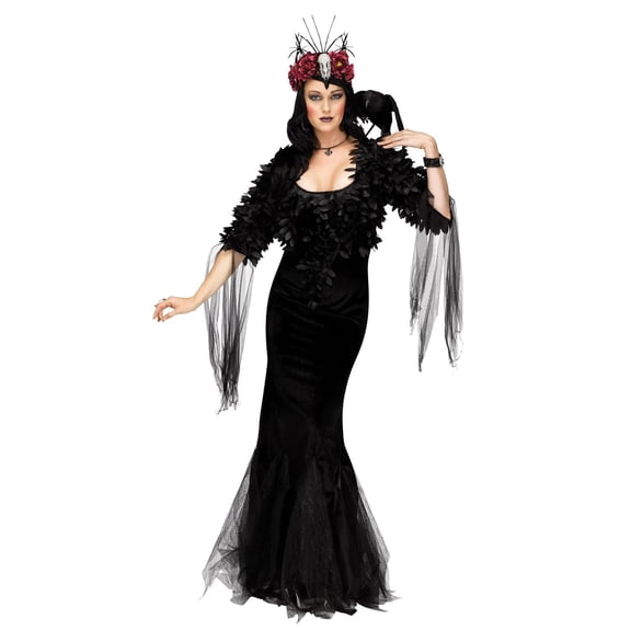 Raven Mistress Women's Adult Halloween Costume